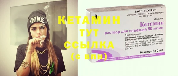 трава Белокуриха