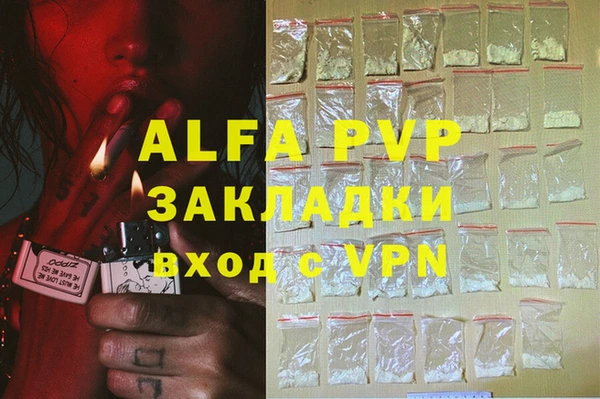 трава Белокуриха