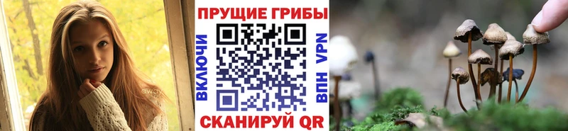 купить закладку  Плёс  Псилоцибиновые грибы ЛСД 