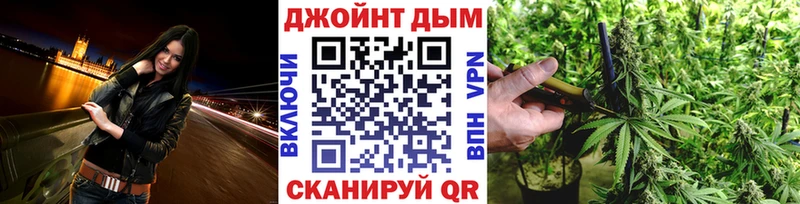 купить закладку  OMG онион  Марихуана сатива  Плёс 
